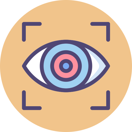 Vision